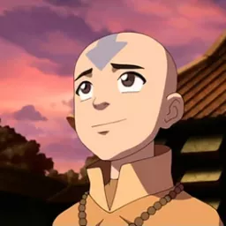 Profile picture for user aang
