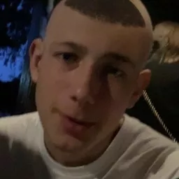 Profile picture for user misko110