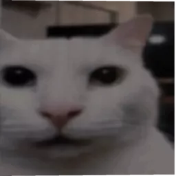 Profile picture for user pgniko