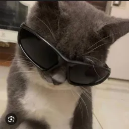 Profile picture for user Wen1xx.