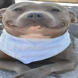 Profile picture for user ciniminis