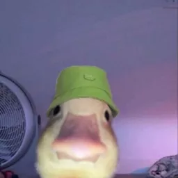 Profile picture for user Ostyblo