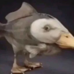 Profile picture for user crazismile