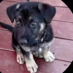 Profile picture for user Awakenn77