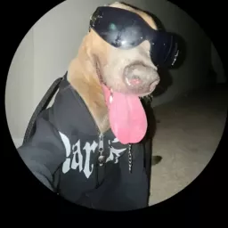 Profile picture for user Tof1x