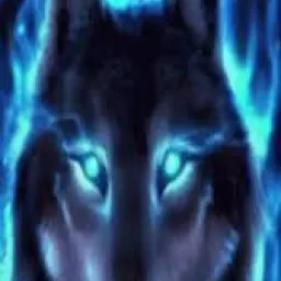 Profile picture for user Mejfin