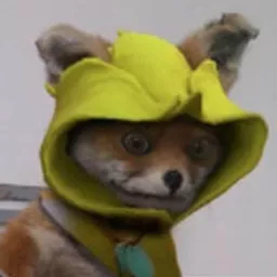Profile picture for user Dorki