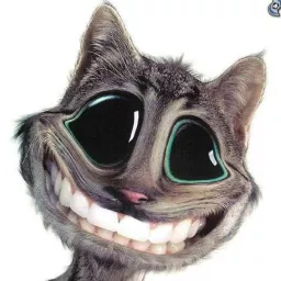 Profile picture for user Waynova6422