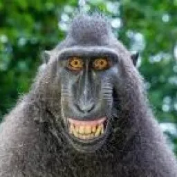 Profile picture for user Hronkys