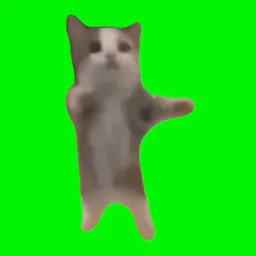 Profile picture for user pajix.