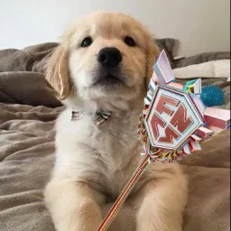 Profile picture for user Honzafn