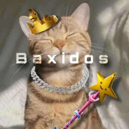 Profile picture for user baxidos_