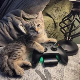 Profile picture for user Tadaa