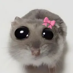 Profile picture for user Theollu