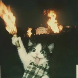 Profile picture for user BombasticEz