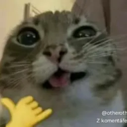 Profile picture for user Anton5420