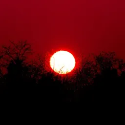 Profile picture for user Traid.