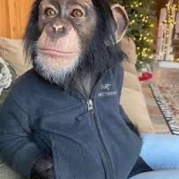 Profile picture for user Koudy1452