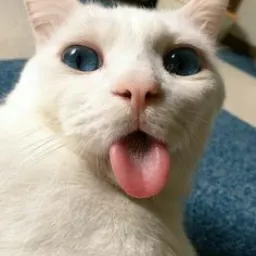 Profile picture for user Vinter