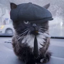 Profile picture for user Mirisek