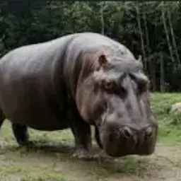 Profile picture for user Hrejivytopeni