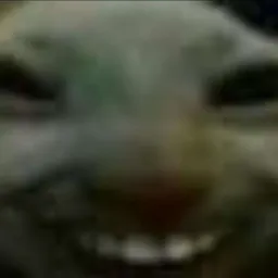 Profile picture for user fotosynteza_