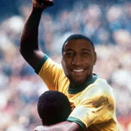 Profile picture for user tomy_d