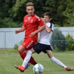 Profile picture for user staskuzma