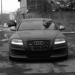 Profile picture for user rayyybannn