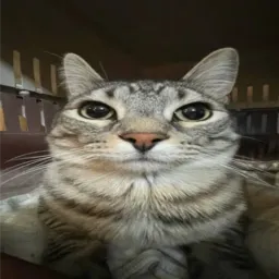 Profile picture for user sT1XII