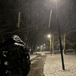 Profile picture for user bneaxzyk