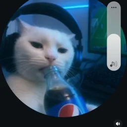 Profile picture for user Vajcovec