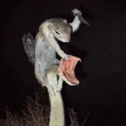 Profile picture for user dankone