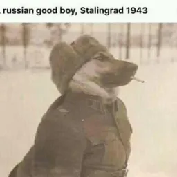 Profile picture for user waaKy