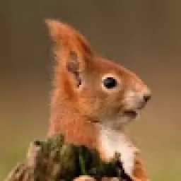 Profile picture for user Brezaa