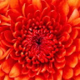 Profile picture for user SWAT54448