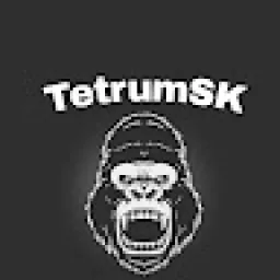 Profile picture for user TetrumSk