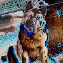 Profile picture for user martin.mi.