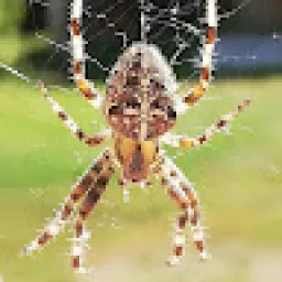 Profile picture for user dominikslanina1
