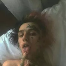 Profile picture for user cherimoya