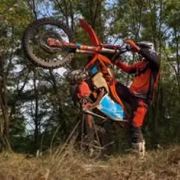 Profile picture for user sekámdobrotu