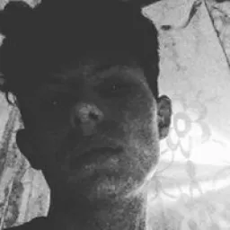 Profile picture for user davidlevkiv