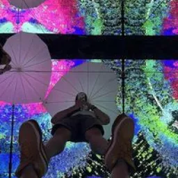 Profile picture for user tomášŠtibingerjr.