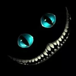 Profile picture for user tomasle