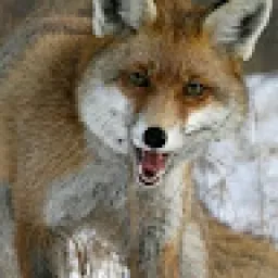 Profile picture for user eldaaparkynatopu