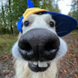 Profile picture for user matějkubiš