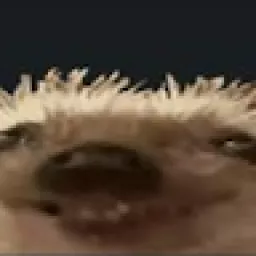 Profile picture for user literallydrunk