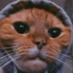 Profile picture for user patrikkrska