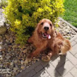 Profile picture for user xdark_eu