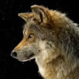 Profile picture for user new_meta7